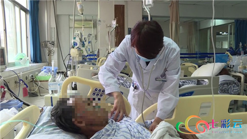 云南楚雄野生菌中毒,楚雄州野生菌中毒