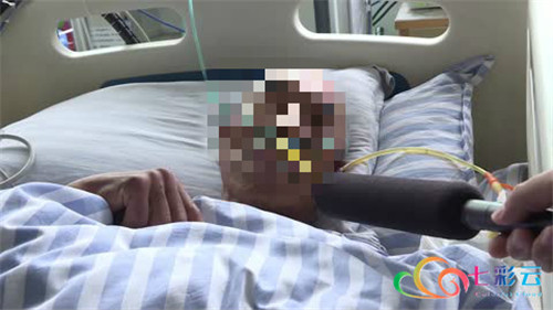 云南楚雄野生菌中毒,楚雄州野生菌中毒