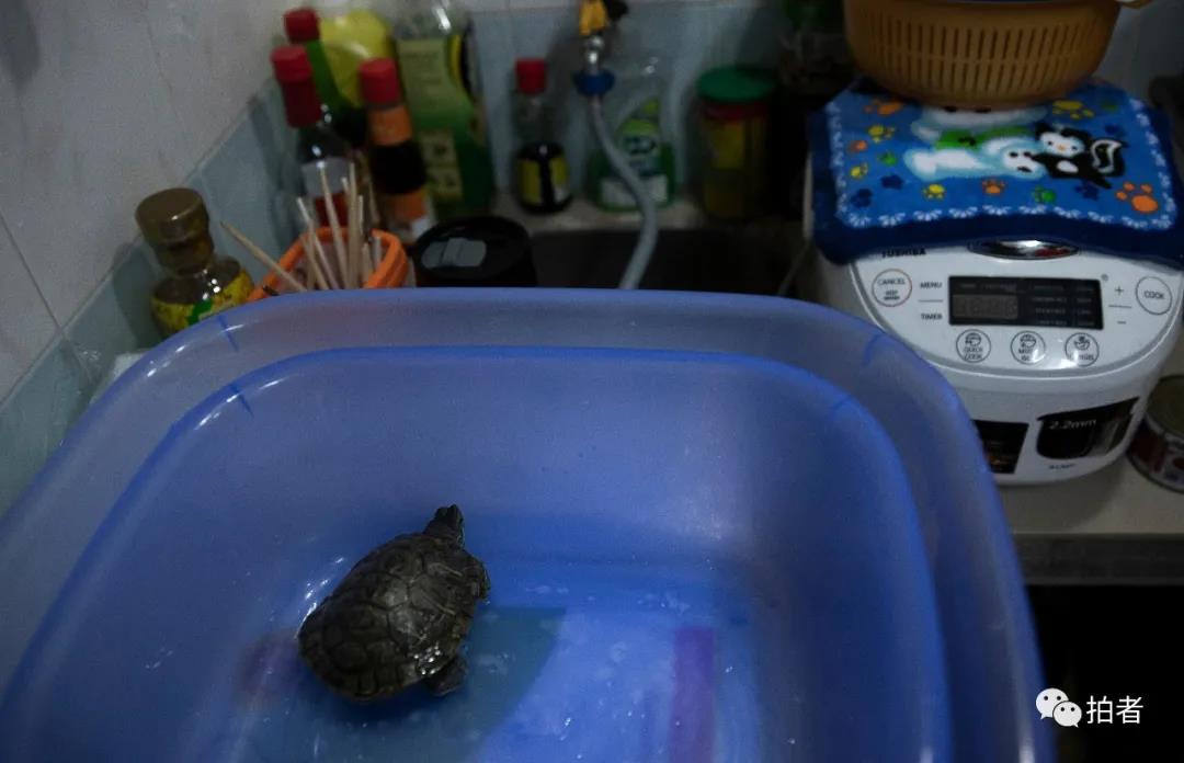 香港单亲妈妈住8平方劏房,香港深水埗劏房单亲妈妈