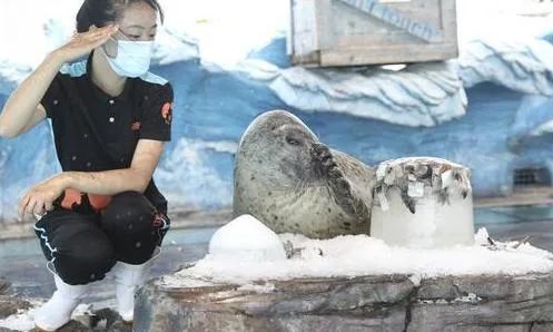 7月24日的新闻,7月24日涨停