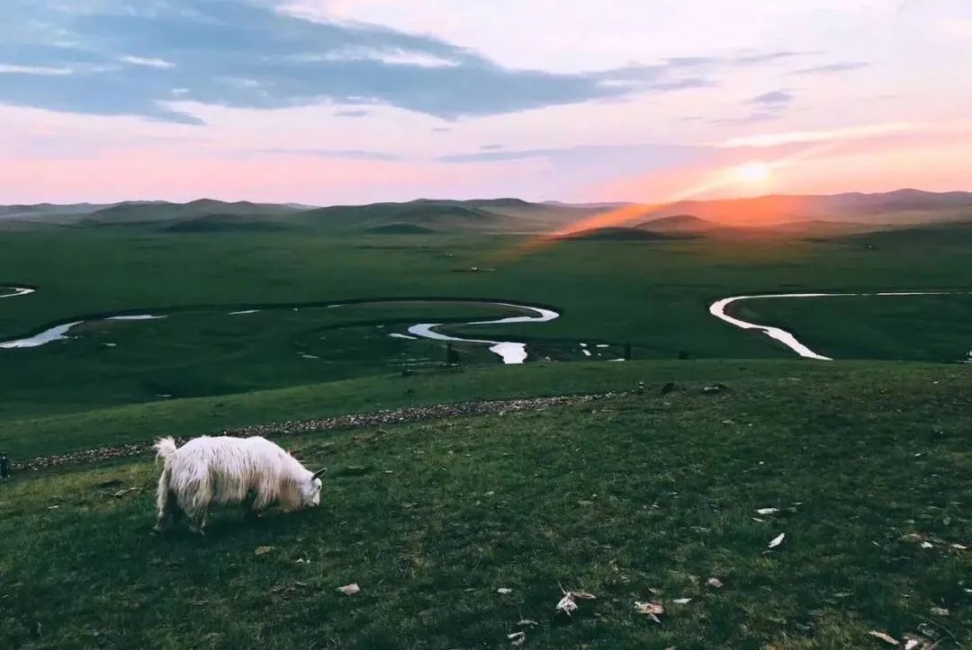 世界草原野奢帐篷酒店,为什么有人愿意住民宿
