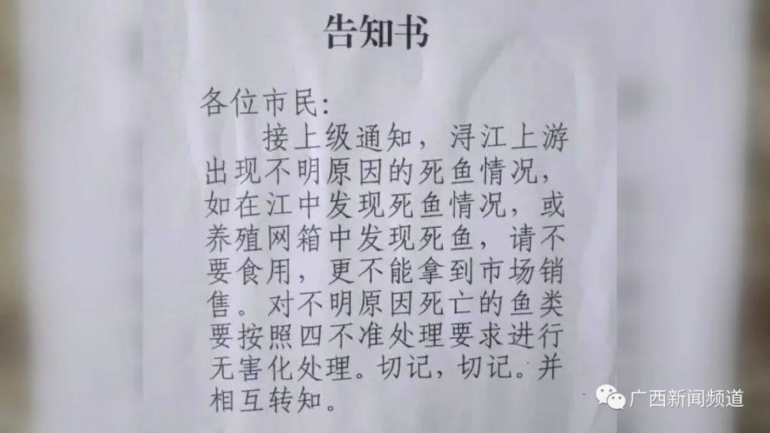 广西鱼死亡事件,广西一养殖户称数万斤鱼离奇死亡