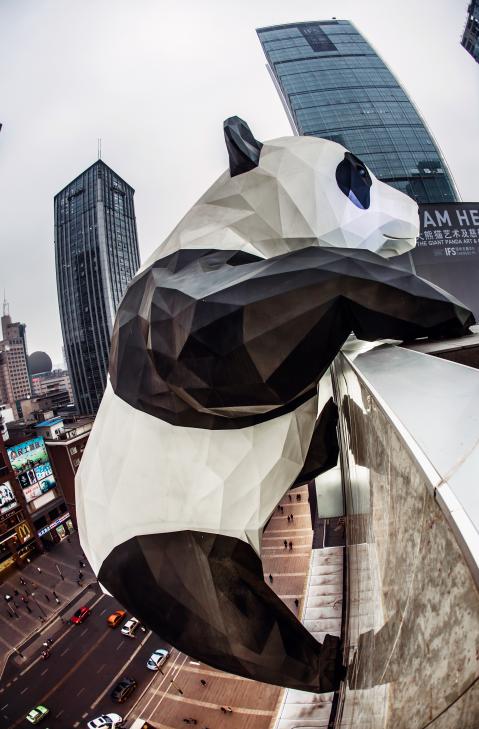 涓婃捣琛楁媿鍜屾垚閮借鎷嶇殑鍖哄埆,涓婃捣琛楁媿涓庢垚閮借鎷嶇殑鍖哄埆