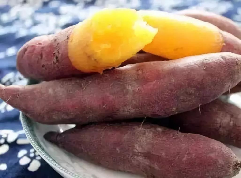 临安天目山小香薯粉糯香甜,天目山小香薯新鲜现挖