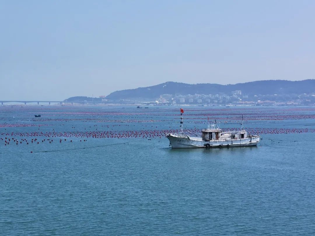 直播|云出海!海洋预报小姐姐带你踏海寻仙境