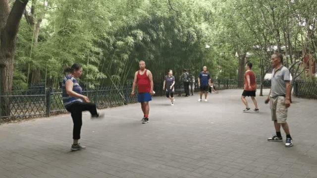 北京市属公园哪些已经开放,北京开放的12家公园