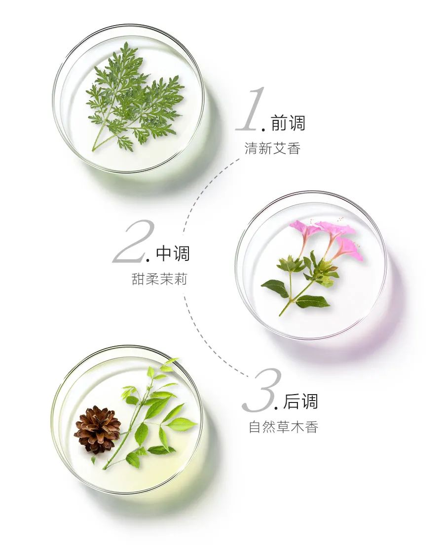 三伏天艾草熏后背多久熏一次,三伏天用艾草泡澡几天泡一次