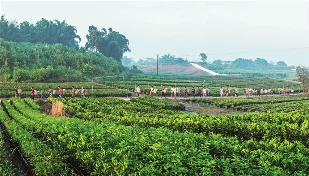 鎴愭笣浠庡彛姘翠粭鍒伴緳闂ㄩ樀,浠庡彛姘磋鍒颁笢澶忔潙鍧愬嚑璺溅