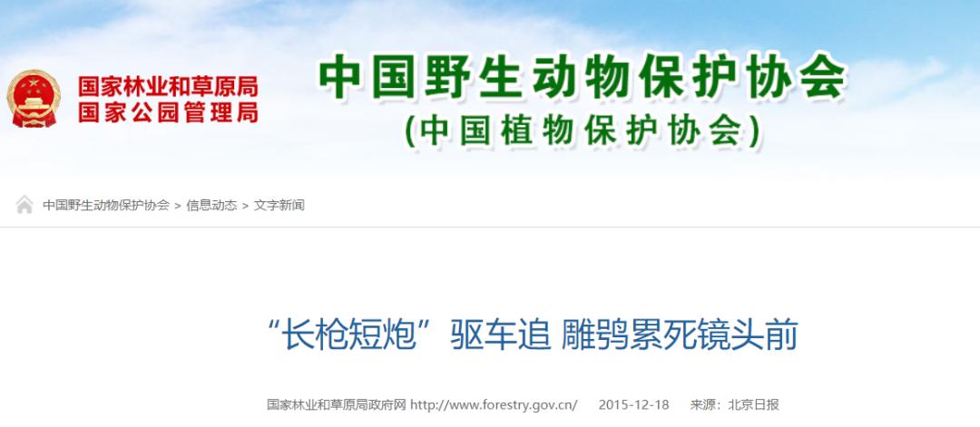 为了阻止一些中国大爷拍鸟，我们要给他们安利这个