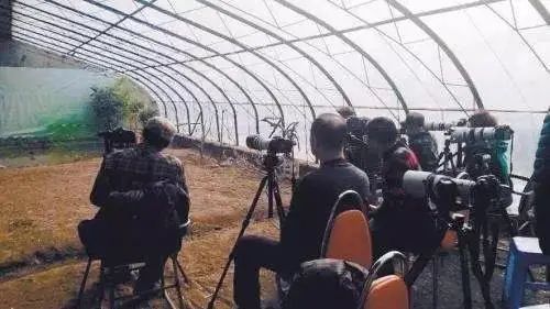为了阻止一些中国大爷拍鸟，我们要给他们安利这个