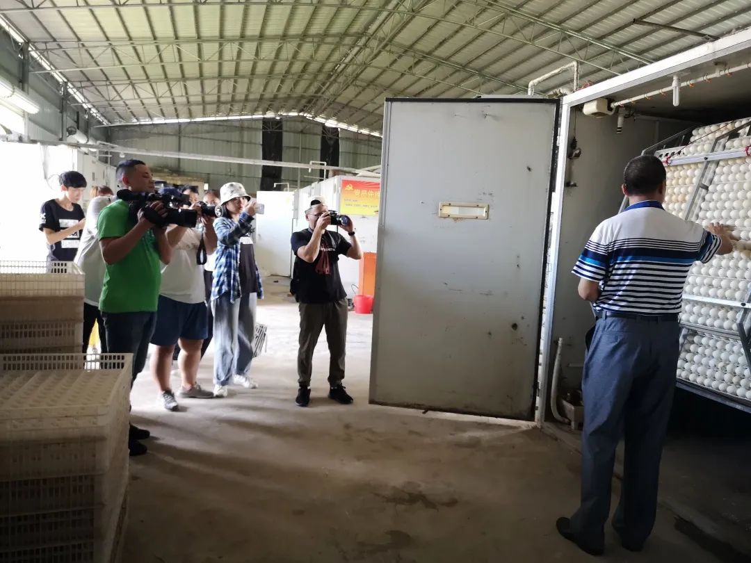 脱贫攻坚北海,北海市持续巩固拓展脱贫攻坚成果