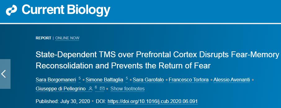 “密恐”、强迫症有治了！科学家开发出非侵入性疗法，可直接修改记忆、删除恐惧