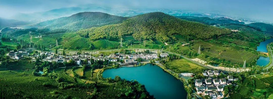 主攻“四新”，江宁加速跑！