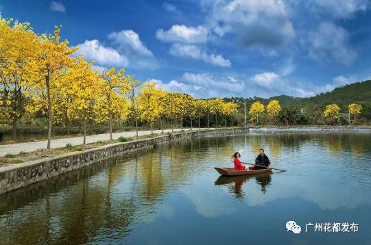 花都这些村超级棒!快来助力!