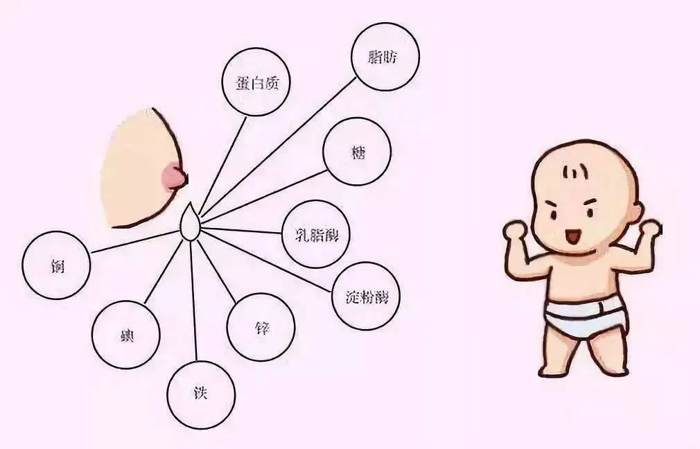 世界母乳喂养有多重要,世界母乳喂养周的主题