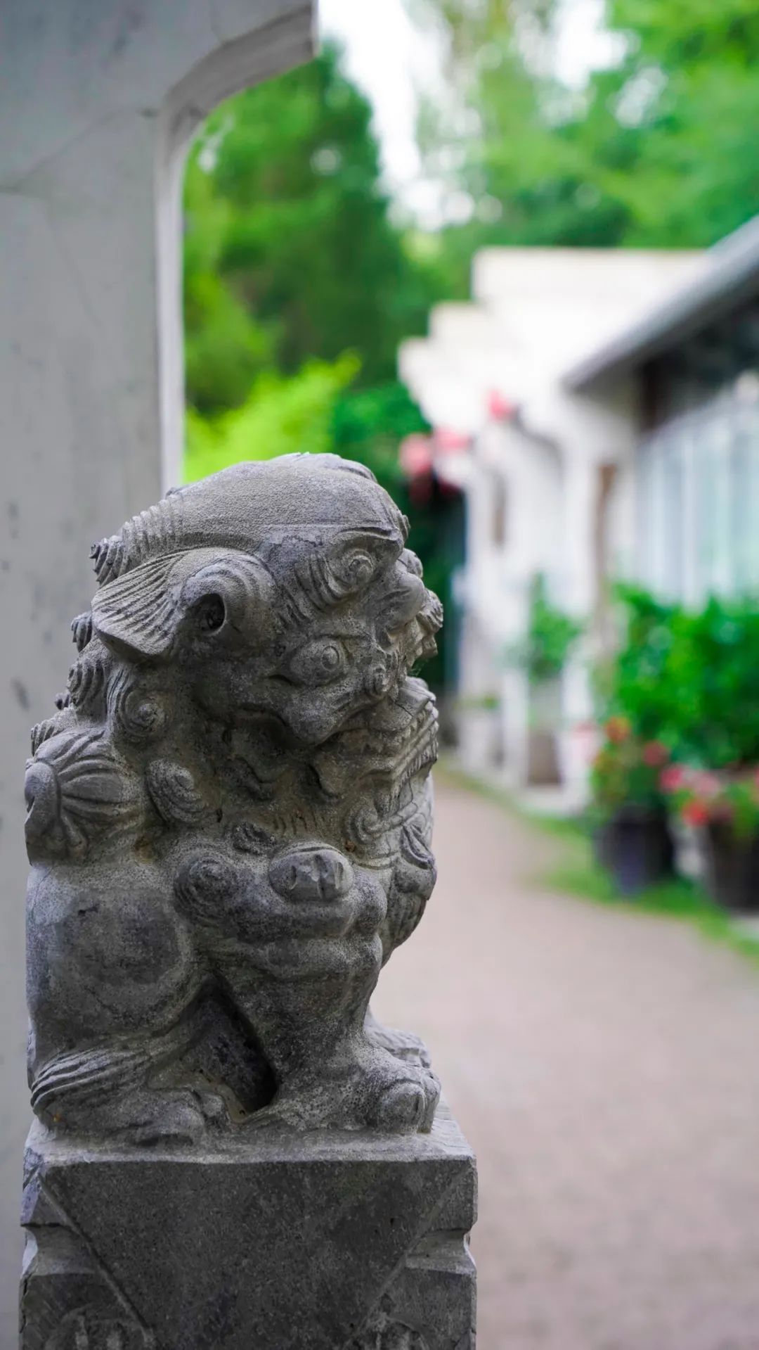 简直认不出这是哈尔滨！三种姿势，别样过夏天