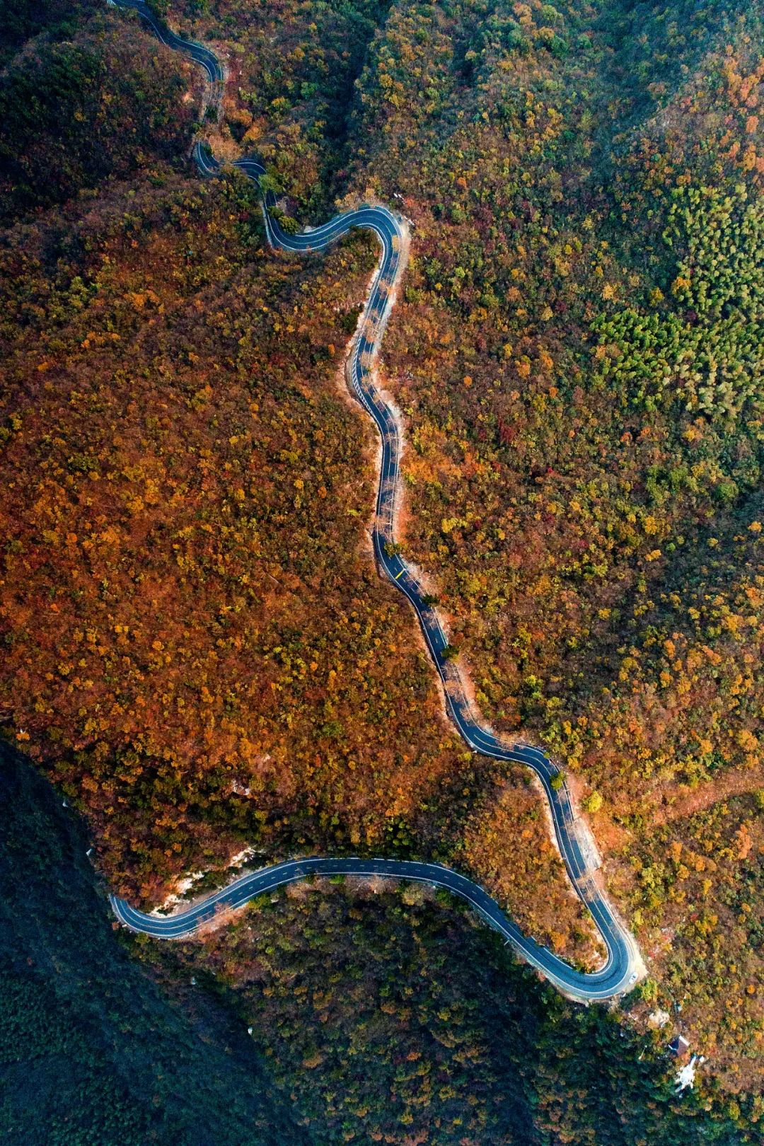 庐山真面目怎么辨别,庐山真面目近义词