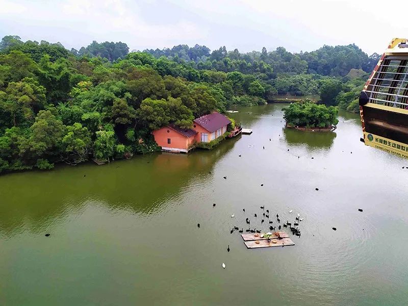 长隆乐园欢乐世界,广州长隆游玩注意事项