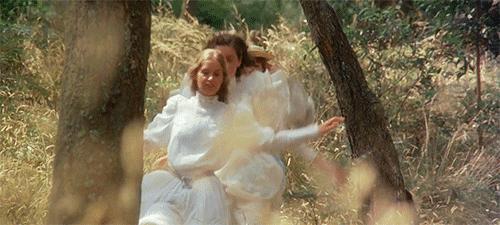 和猫咪接吻会怎么样,猫咪被亲了瞬间感觉不干净了