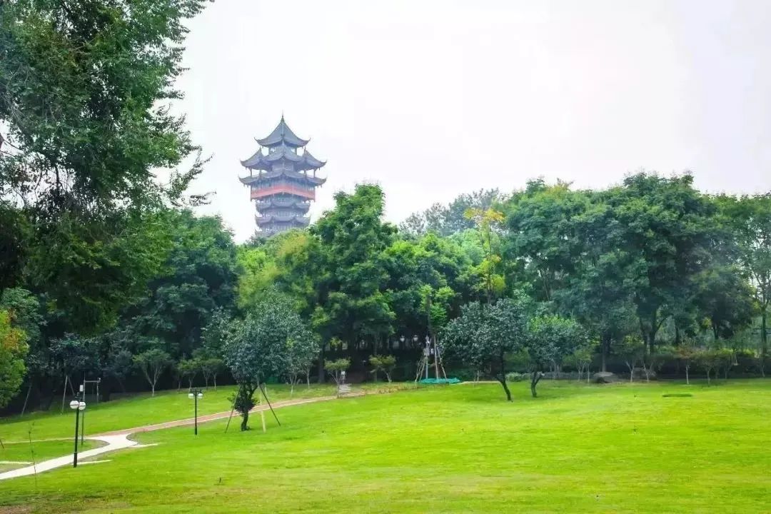 成都景点60岁以上免费门票,成都免费游玩景点推荐