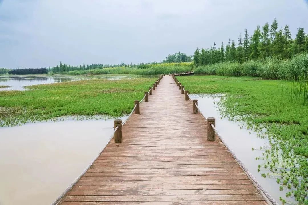 成都免费游玩景点推荐,成都景点免费门票一览表