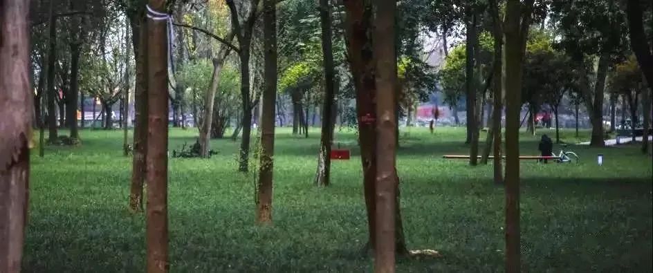 成都免费游玩景点推荐,成都景点免费门票一览表