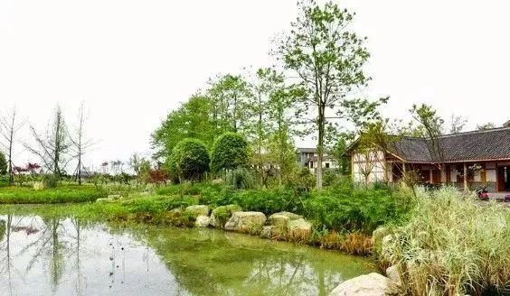 成都景点60岁以上免费门票,成都免费游玩景点推荐