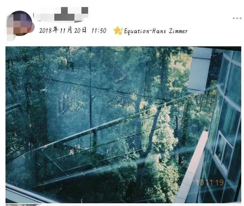 在华师可以学什么,在华东师大读书的体验