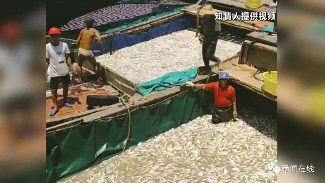 南宁轨道交通15条线地图清晰版,南宁轨道交通最新消息