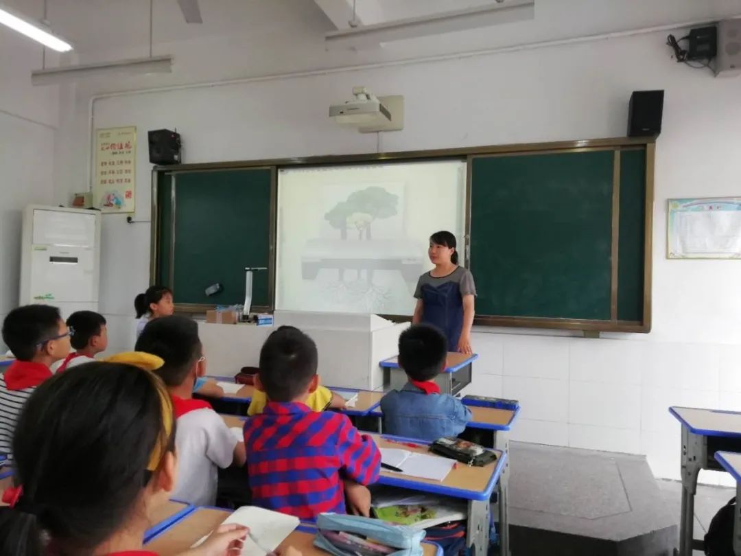 琅琊区学校规划,琅琊区有没有新建小学和中学