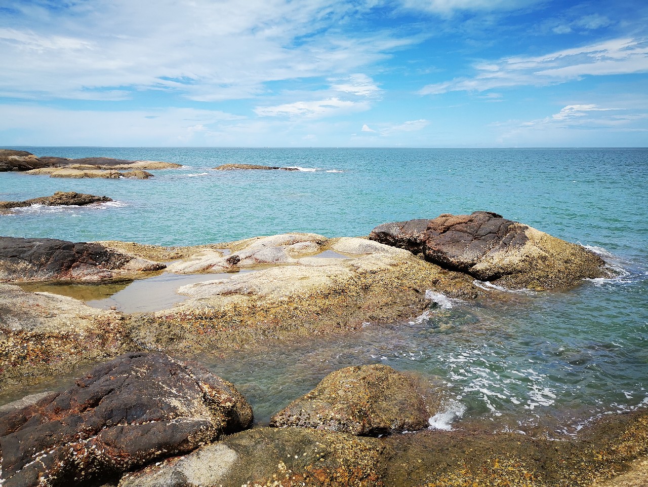游姿优美的观赏鱼,木兰花乡风景区钓鱼