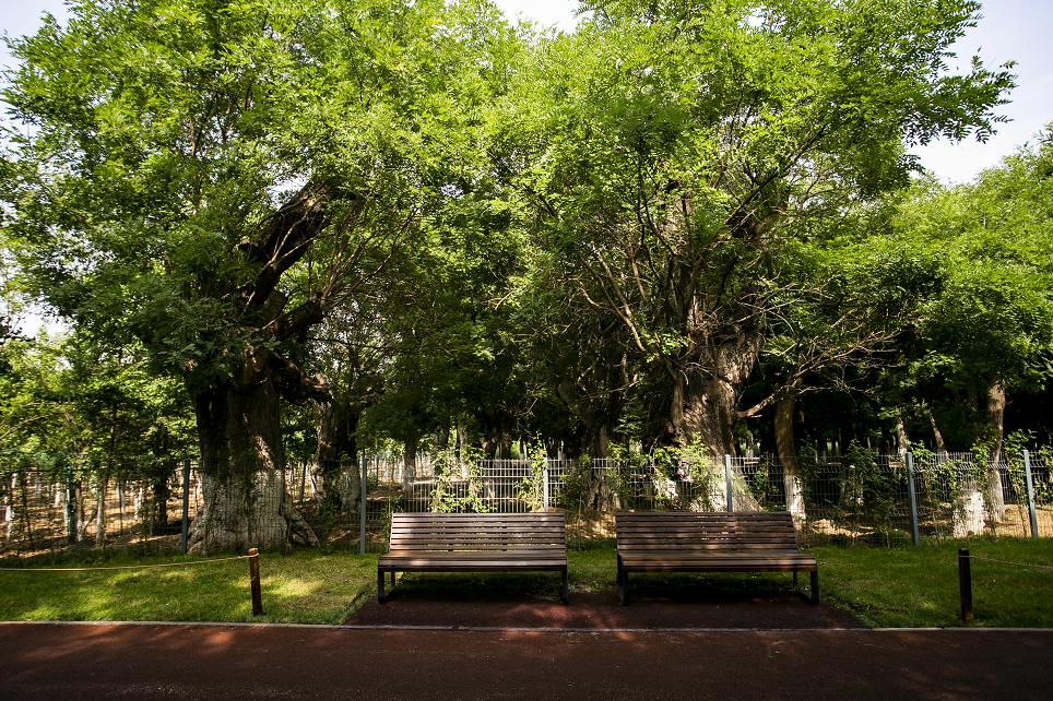 越夜越嗨丨顶级夜跑景区，给你成本最低的人鱼线！