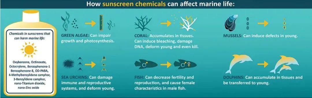 海洋里面有什么护肤成分,海洋护肤成分有哪些
