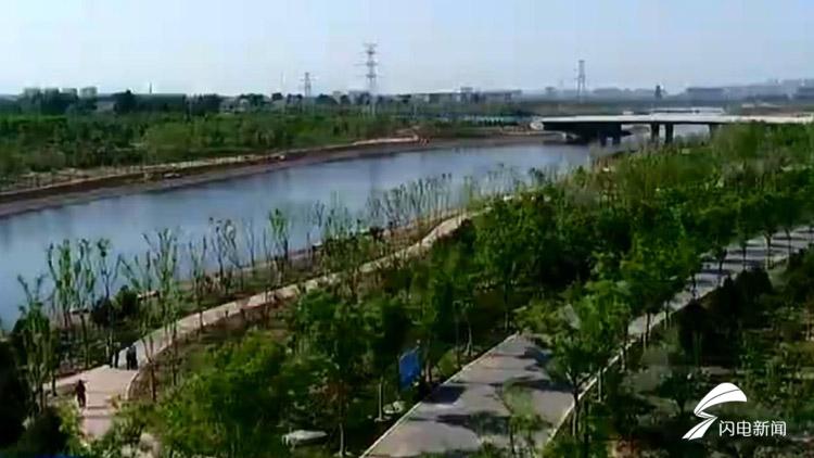 淄博原山林场工资待遇,林场员工工资如何