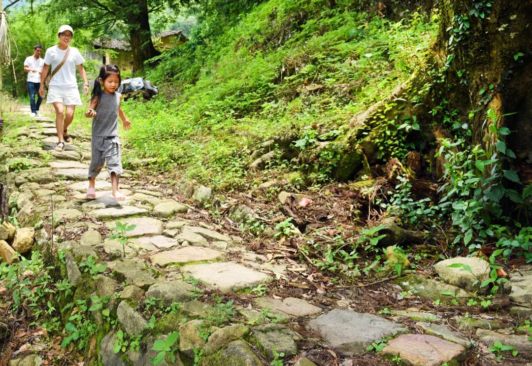 浦城风景推荐,浦城有什么风景区