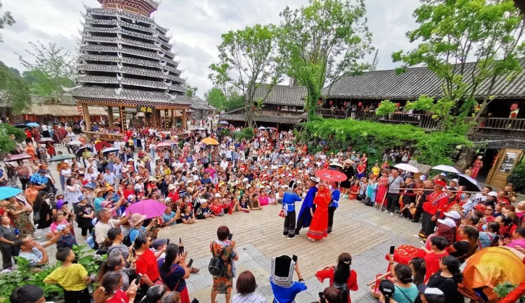 双城记⑧|开放前沿生态之州，一衣带水，无限深情