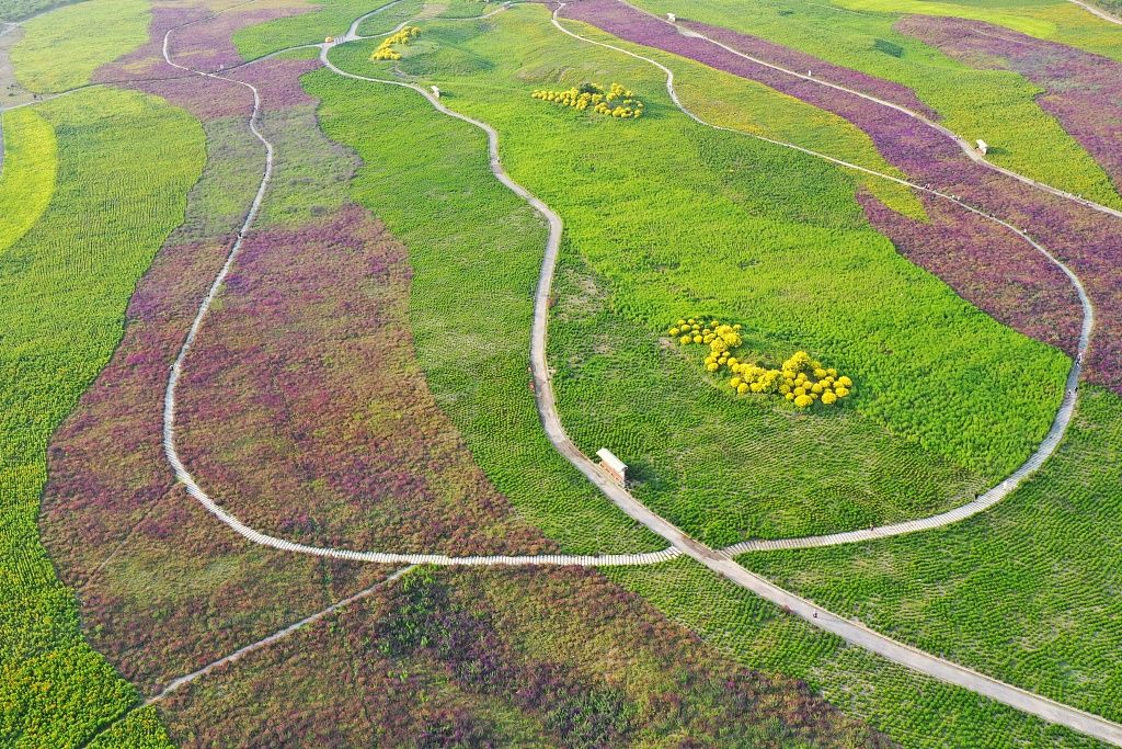 春节两大两小亲子民宿温泉推荐,冬日温泉亲子游玩好去处