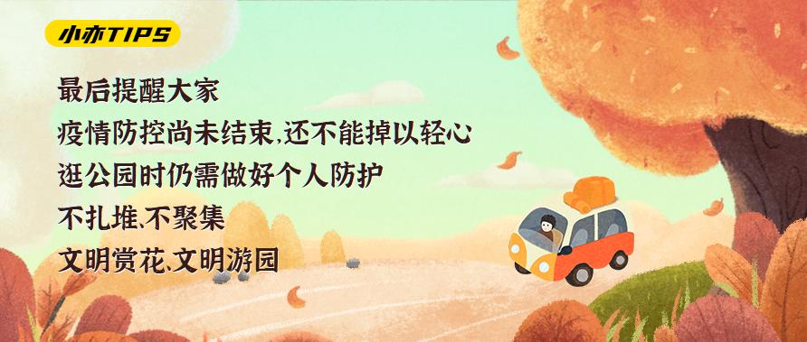 漫游新城|文化荟萃，景色怡人，在这里尽享公园慢时光