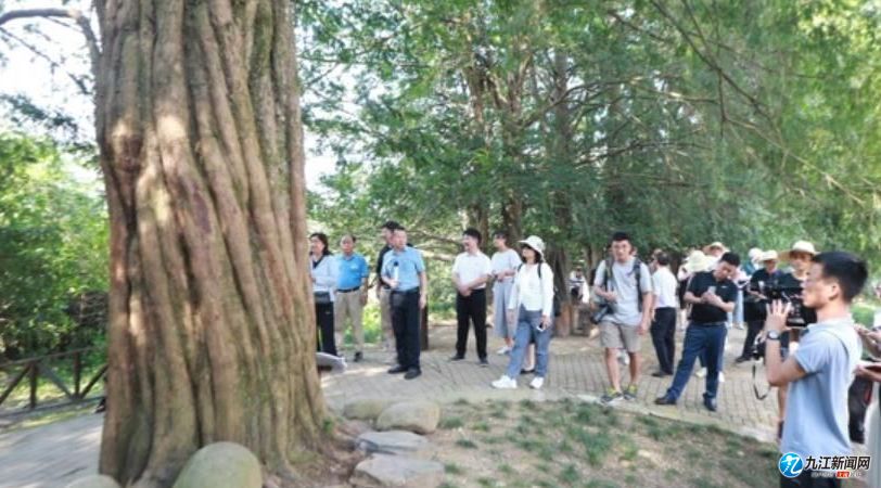 中央驻皖媒体采访团黄山,中央媒体采访团兰考