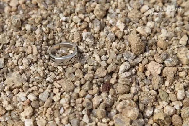 据说最为齐全的30种多肉常用土壤的资料及20种配土方案,不会配土的可以做个参考