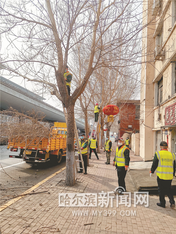 让城市绿化成果更好惠及群众,城市绿化与绿水青山就是金山银山