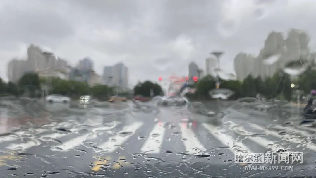 “巴威”到哈即“停编”，但是暴雨没完丨有站点累计降水量超70毫米