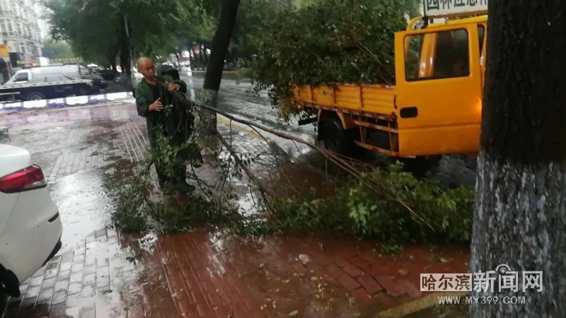 “巴威”到哈即“停编”，但是暴雨没完丨有站点累计降水量超70毫米