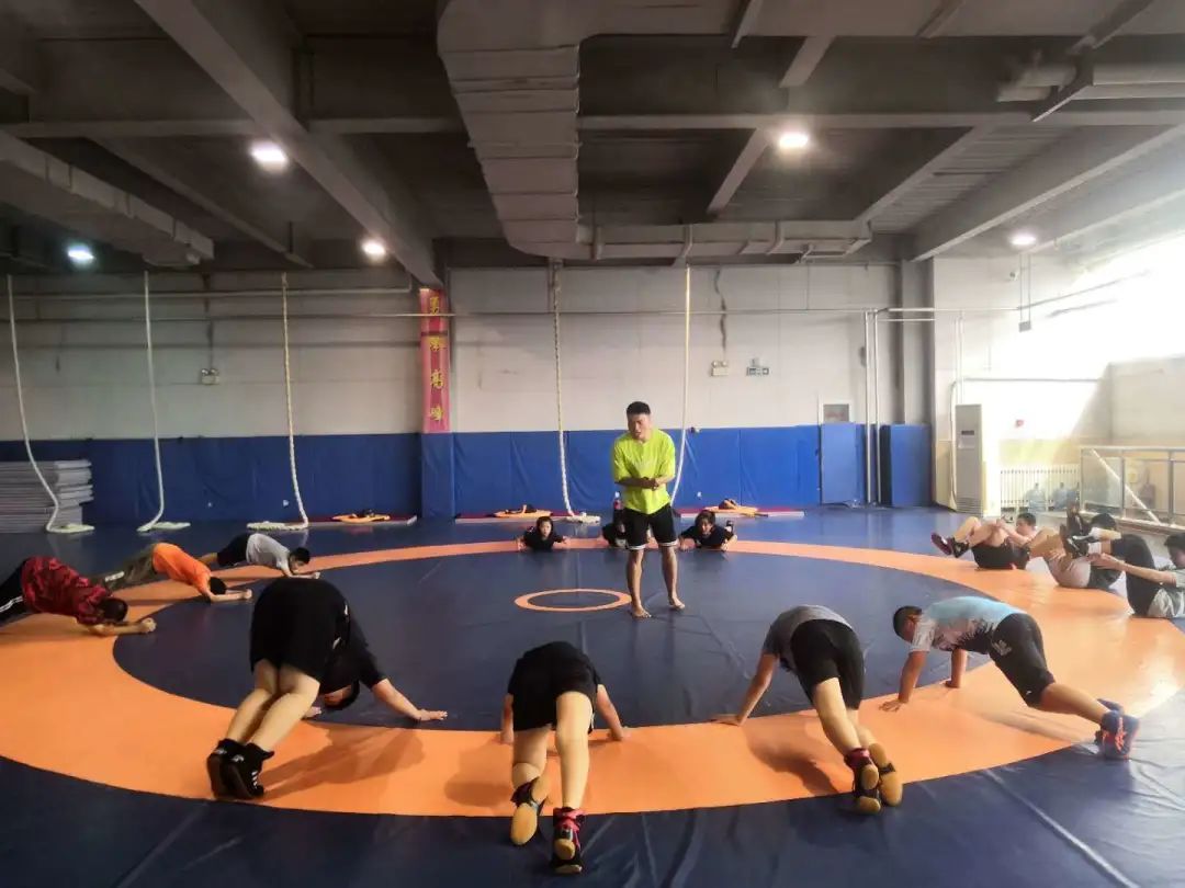 体育科研辅导,体育科研训练营