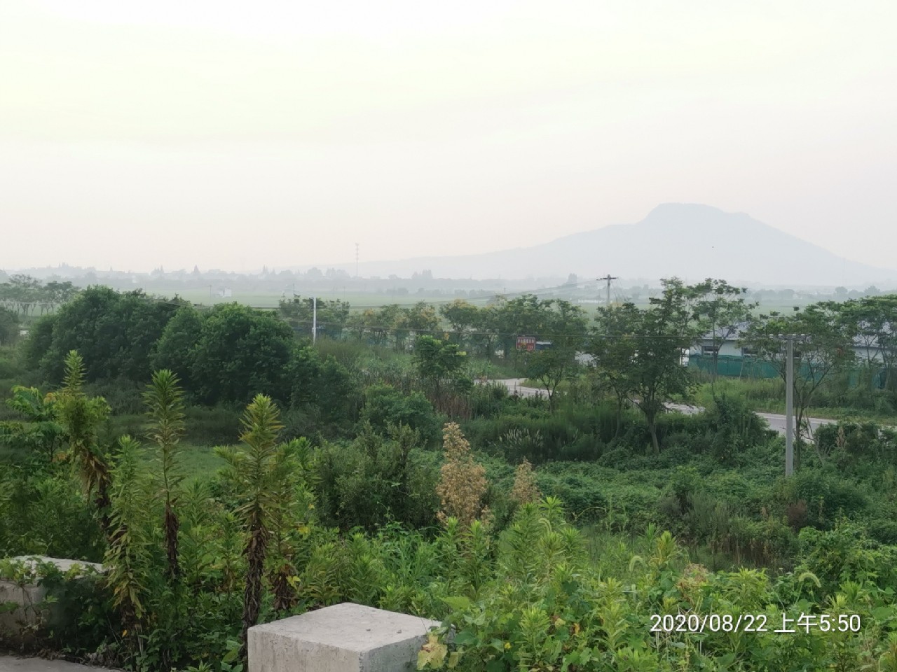 顶着30度的高温,顶着40度的高温钓鲢鳙