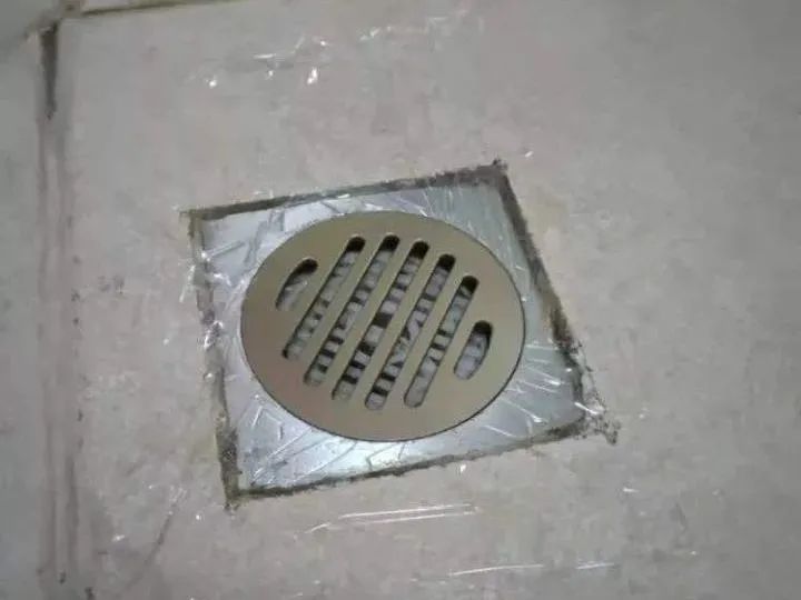 家里有小飞虫用什么驱虫,怎样驱赶小飞虫最有效