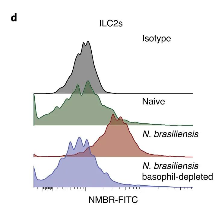 蠕虫病怎么治疗效果好,蠕虫感染的特点