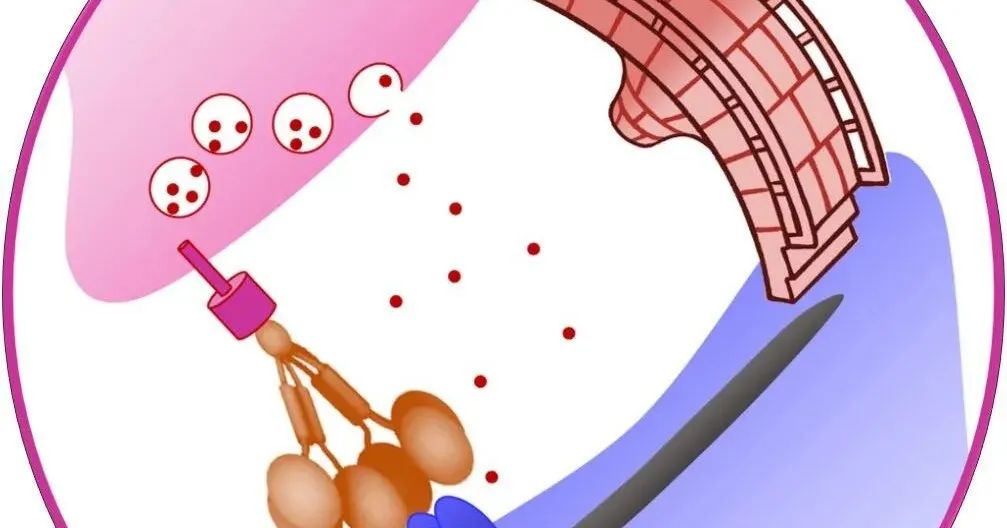 science基因治疗,science小分子抑制剂