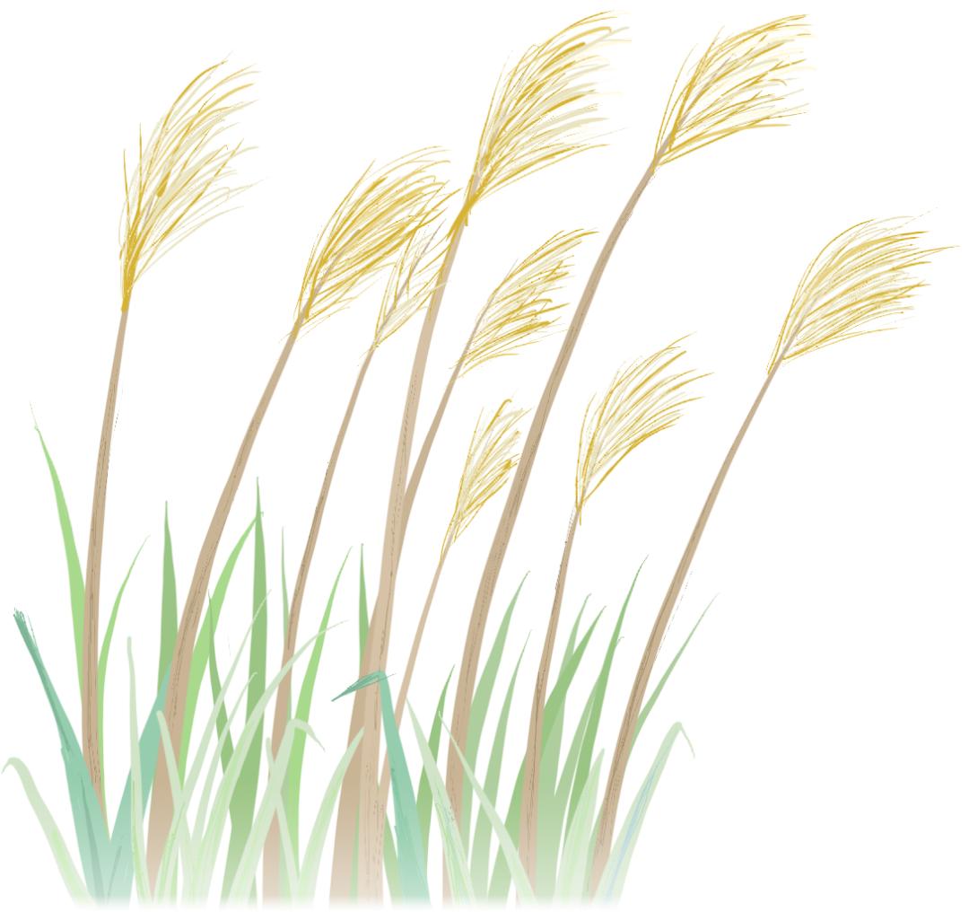 国庆去哪玩推荐国内20个地点,国庆旅游免费门票攻略