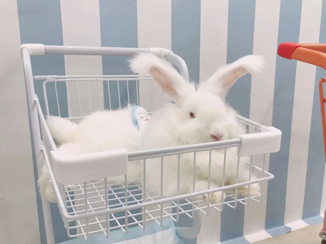 禅城有人约会吗,佛山禅城适合约女生玩的地方